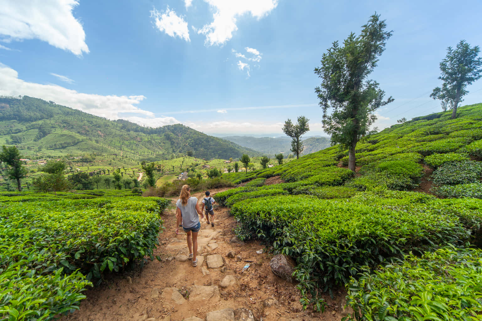 Exotic Couple Getaway with Alleppey Backwaters