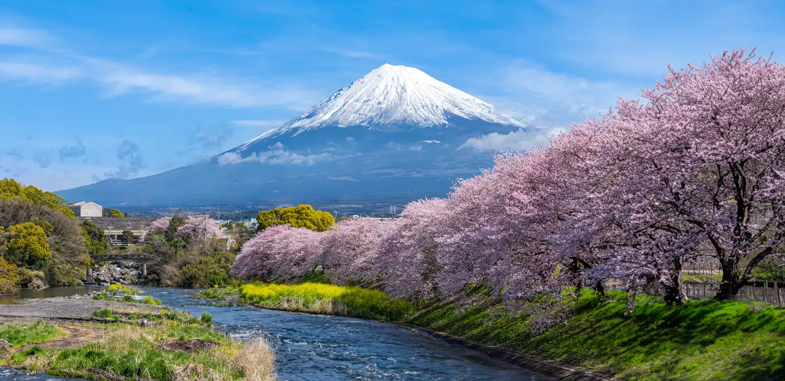 Discovering Japan | A Journey from Sacred Shrines to Futuristic Skylines