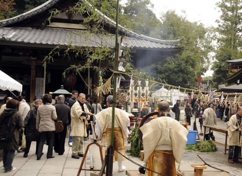 Activity & SightSeeing Image