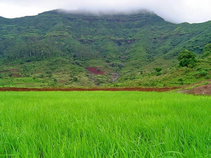 Torna Fort Trek Image