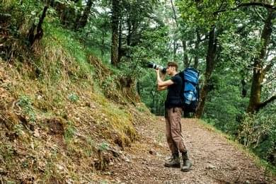 Take a Forest Walk to Nearby Viewpoints