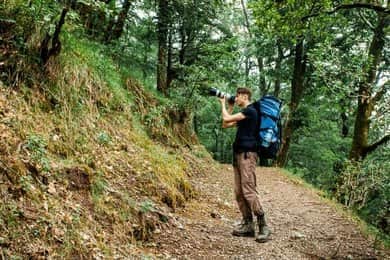 Take a Forest Walk to Nearby Viewpoints