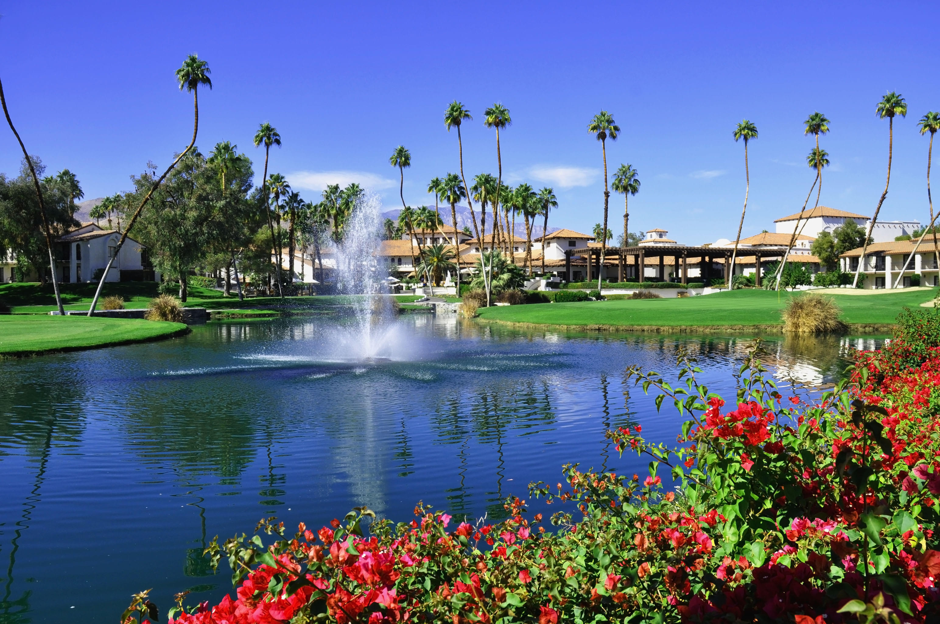 Palm Springs Tour Packages | Upto 40% Off