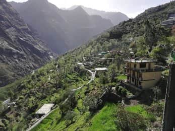 Explore Joshimath Town and Himalayan Views