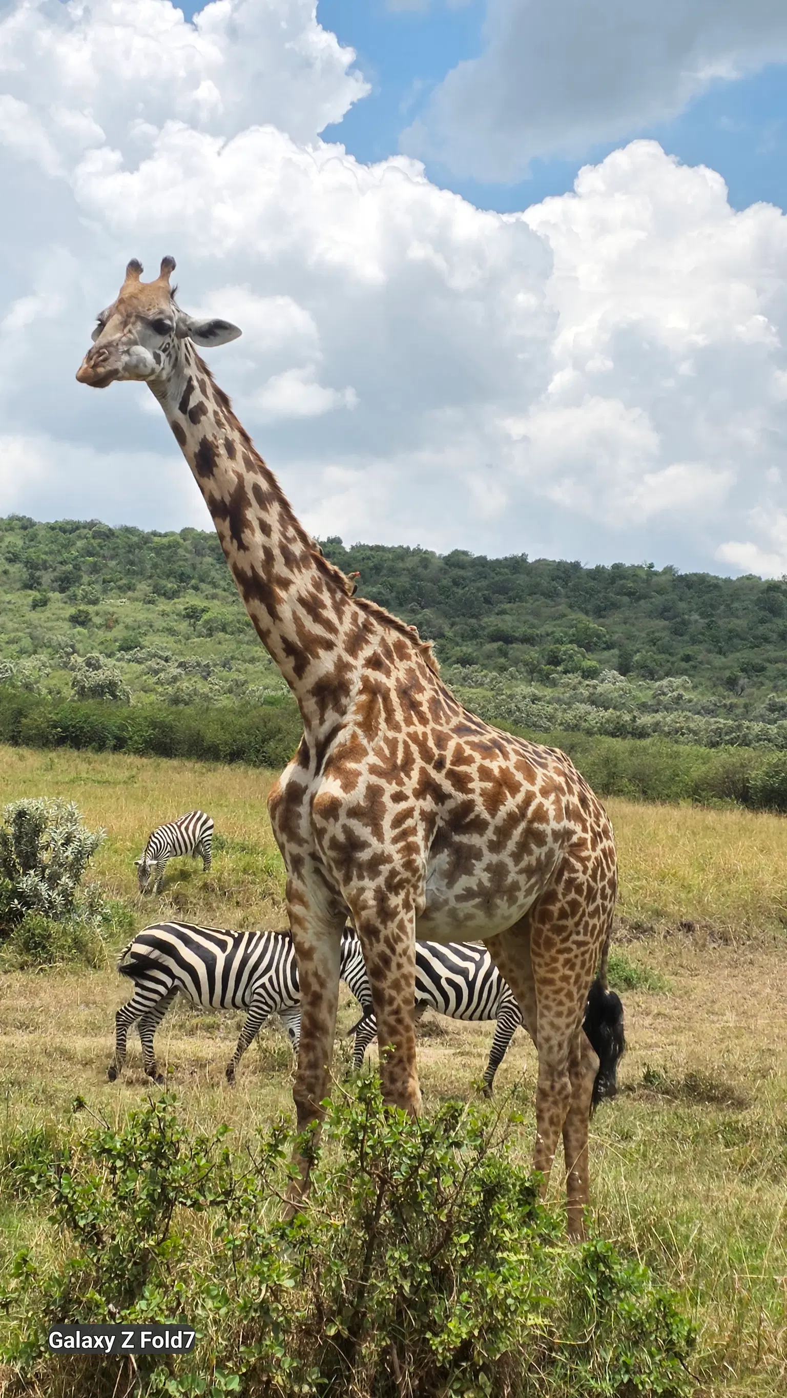 Photo from Ashit Shah's trip