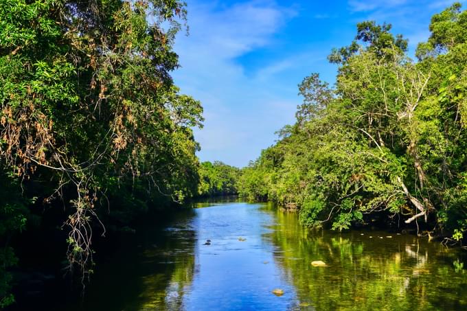 Daintree National Park Tour