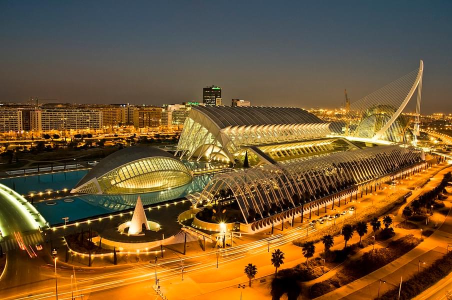 Valencia City of Arts And Sciences Tour with Rooftop Wine Tasting & Tapas Image