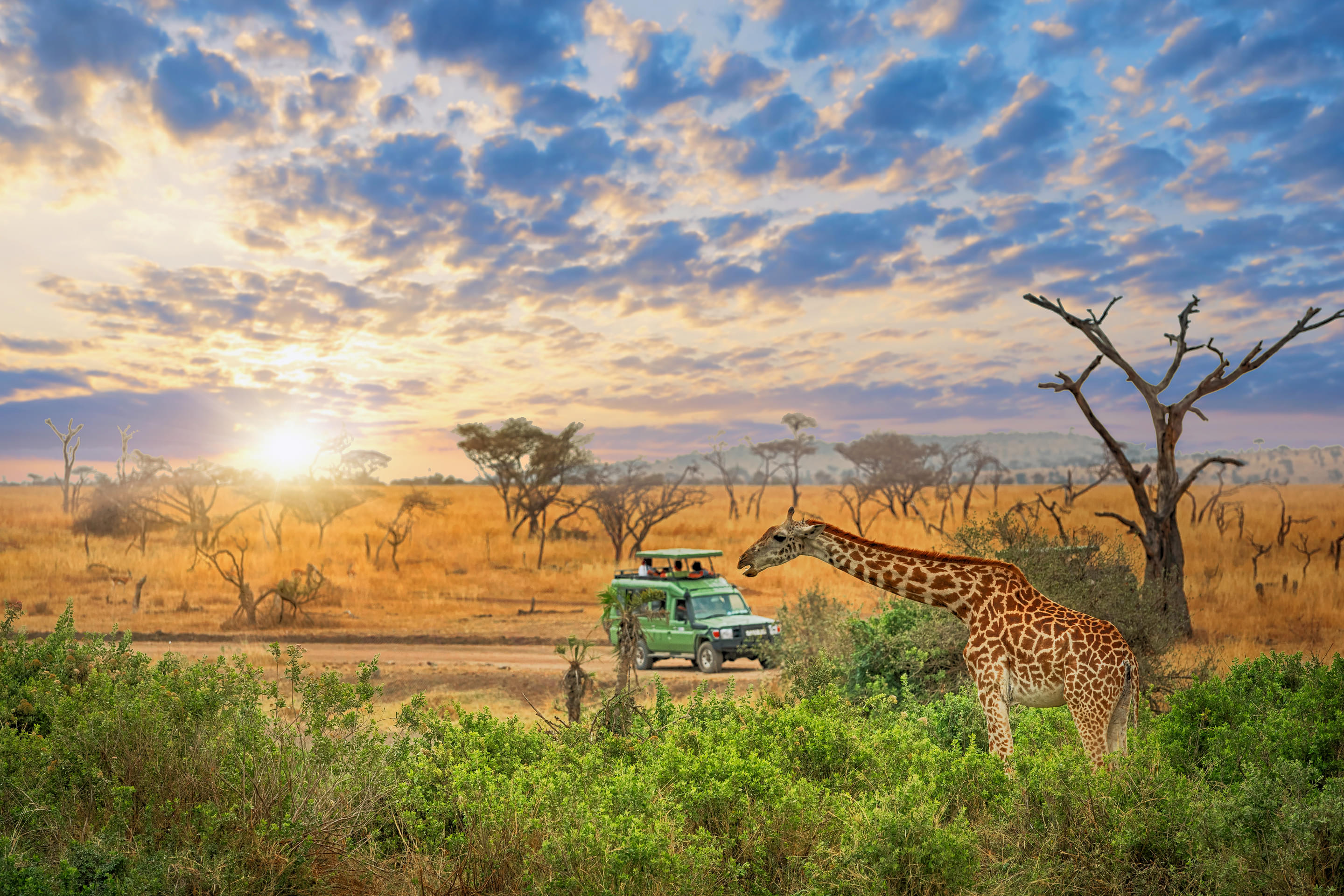 Serengeti National Park Overview
