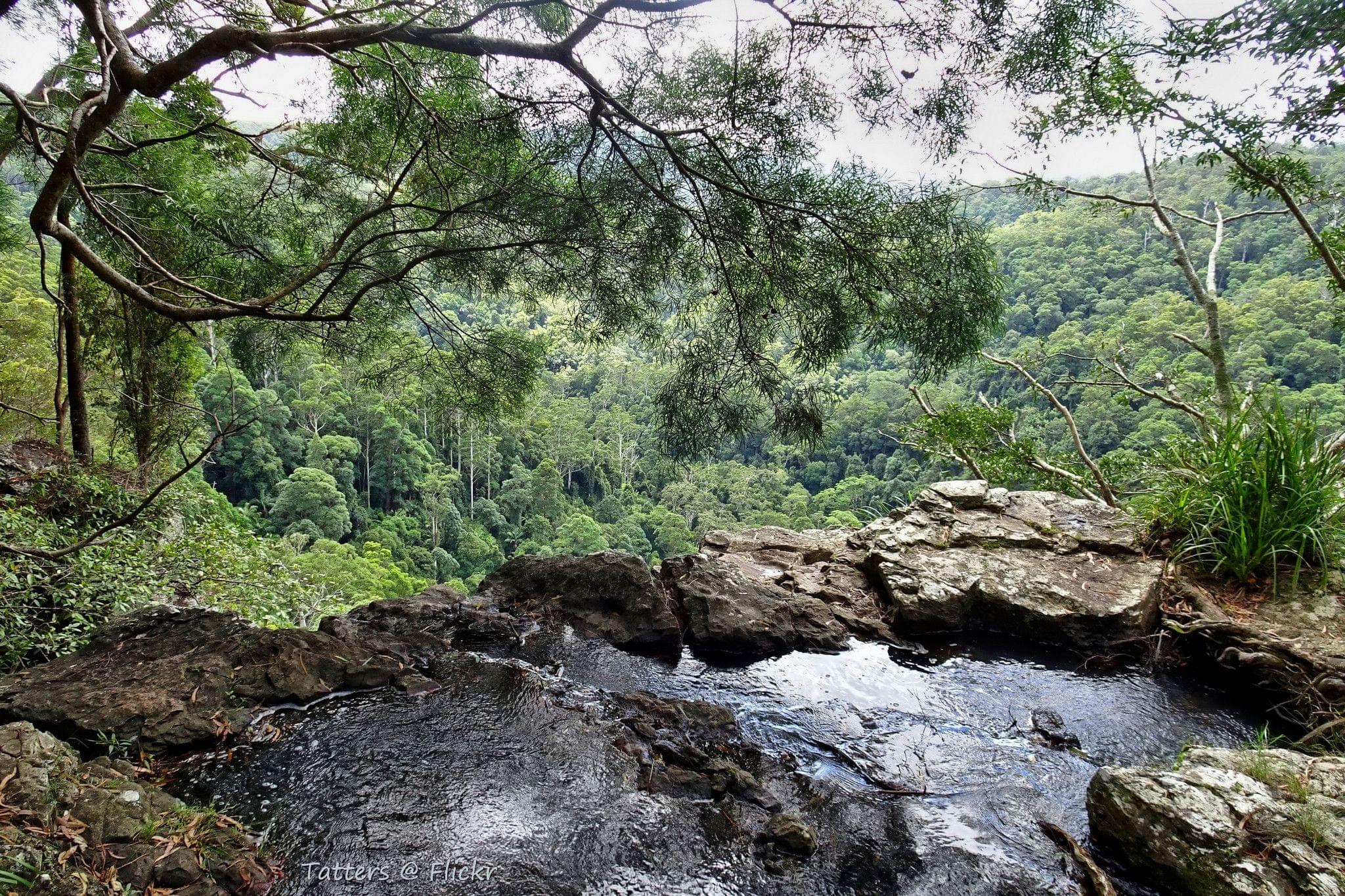 Springbrook National Park