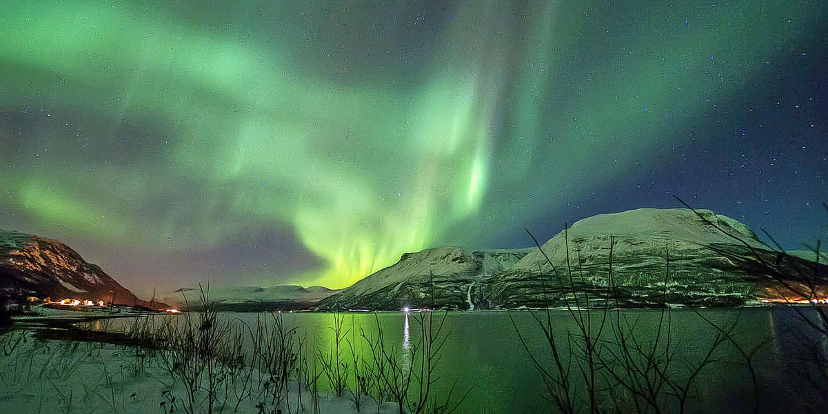 Northern Lights Bus Tour From Tromso Image