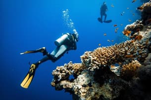 Vlf537n8synhfr3haieifyskzxlv dvz95rdlg5wy7d08bhfbl653wxn8 shu