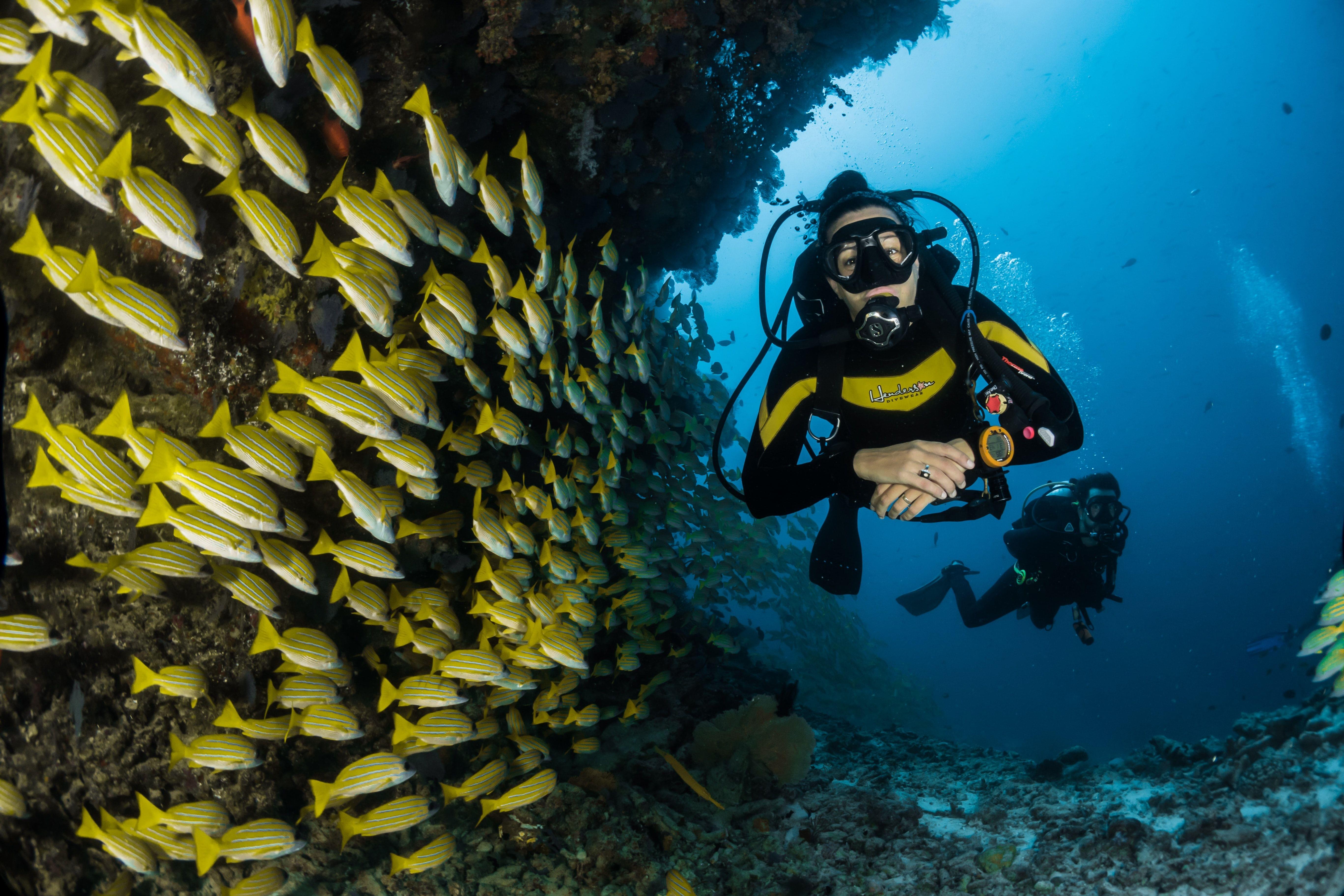 6 Places To Go Scuba Diving In London