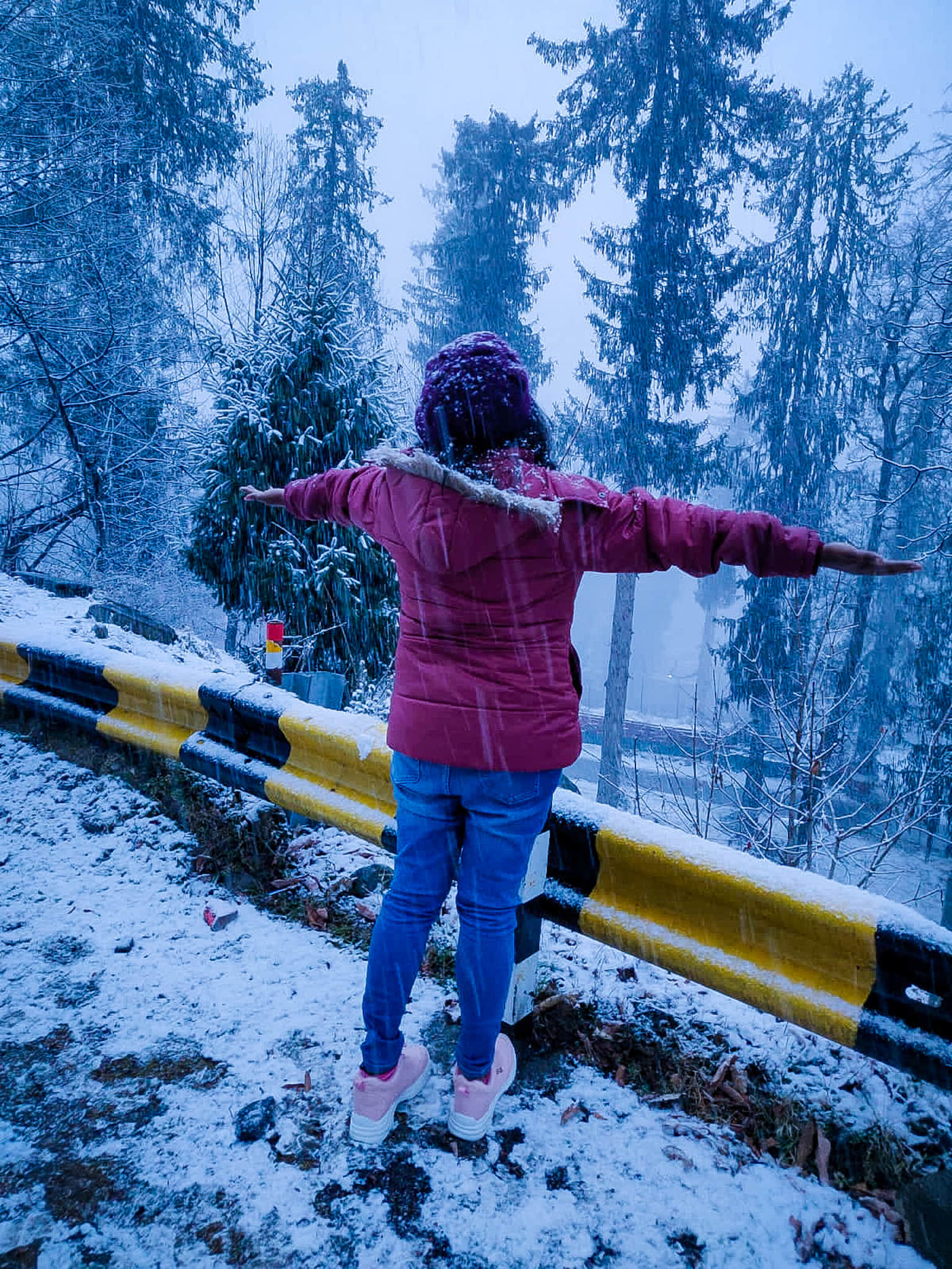 Photo from T JUVALA's trip
