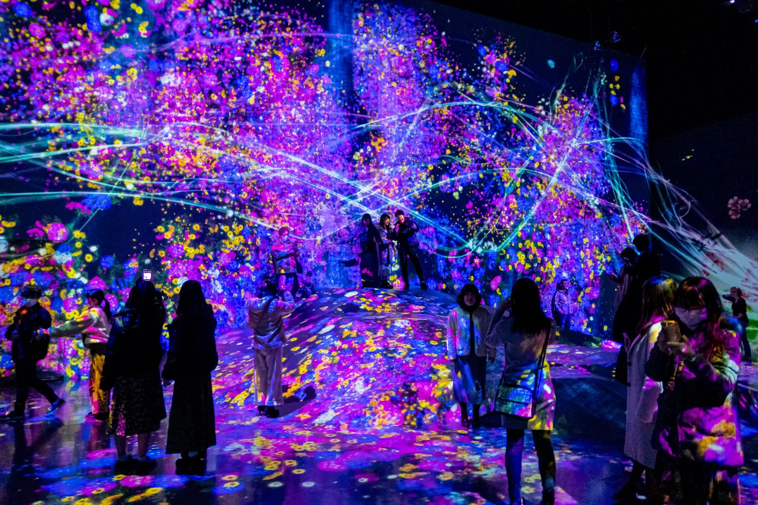teamLab Borderless Entry Tickets, Tokyo || Last-minute Entrance Tickets Available
