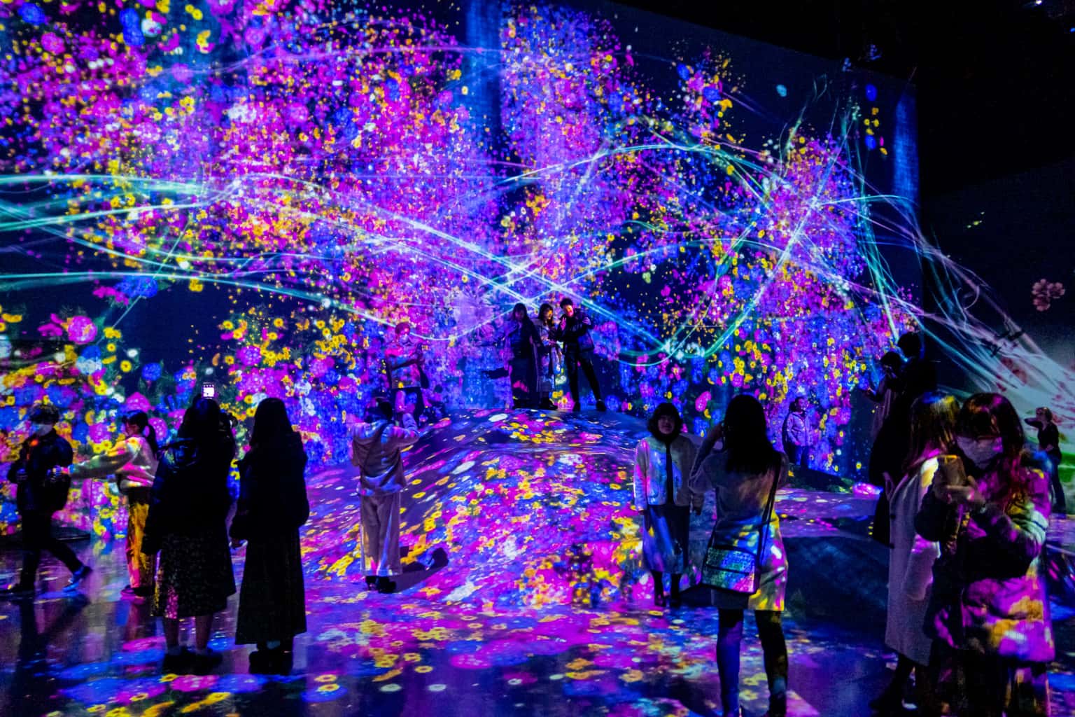 teamLab Borderless Entry Tickets, Tokyo || Last-minute Entrance Tickets Available