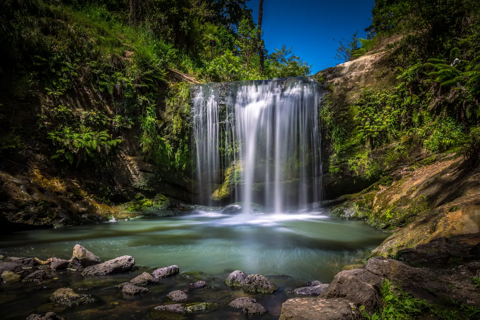 <em>Auckland</em> Tour Packages From Mangalore