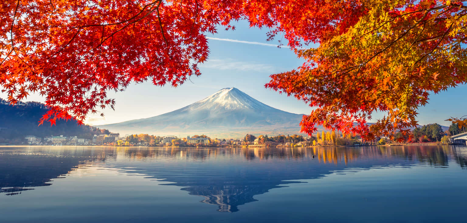 Japan Through Time | Historic Trails and Timeless Traditions