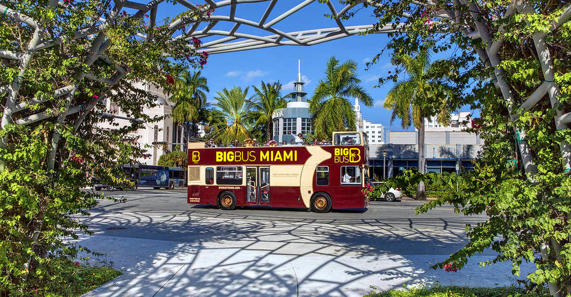 Go City Card Miami Image
