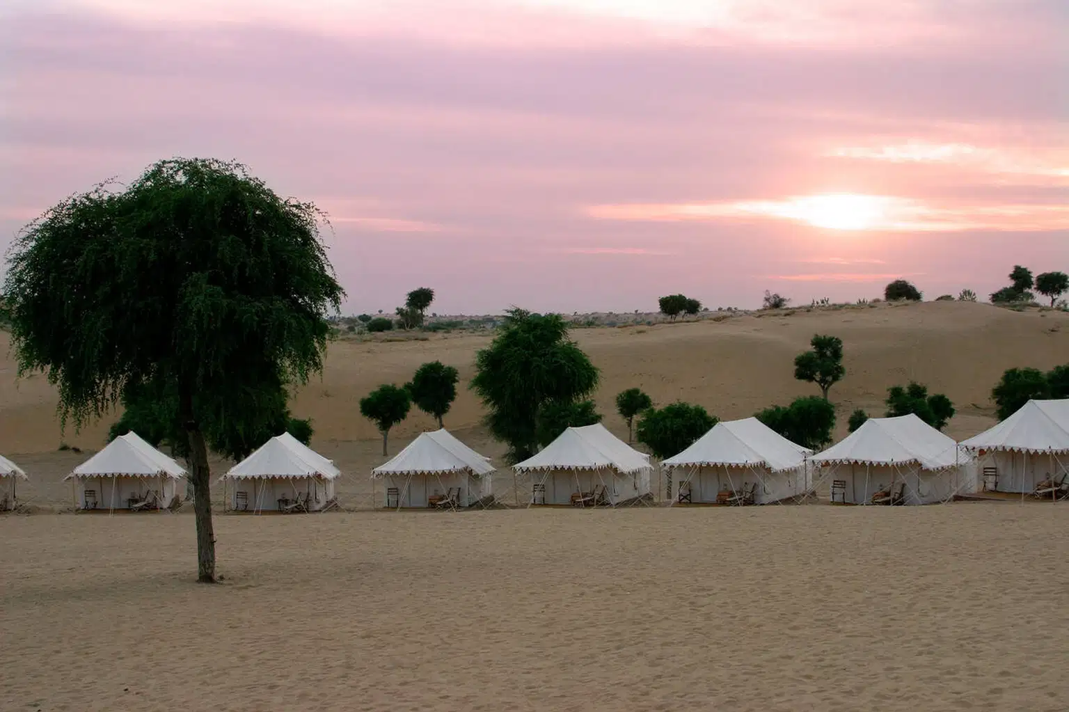 Desert Camping with Camel Safari in Bikaner