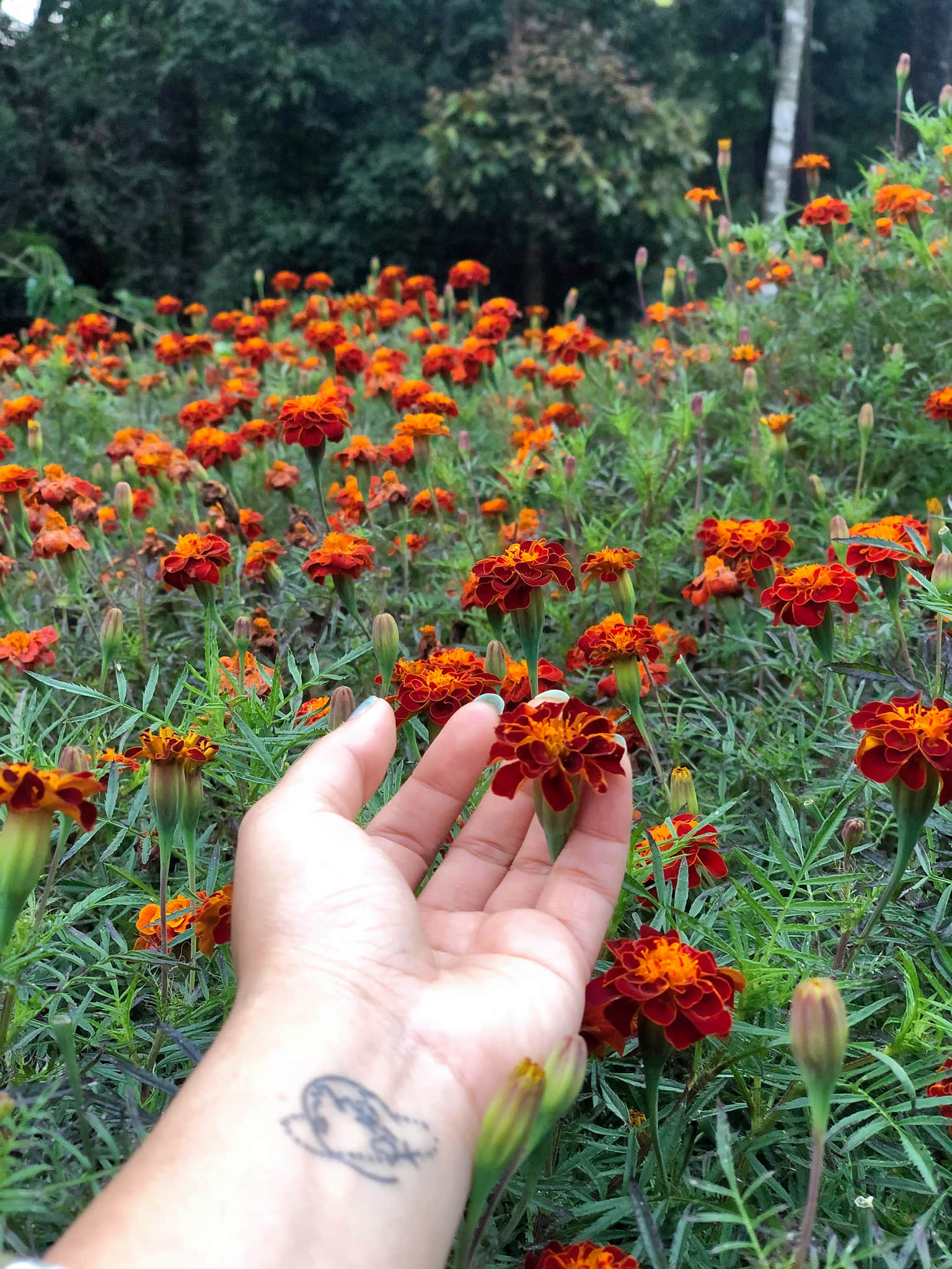 Photo from reena reena's trip