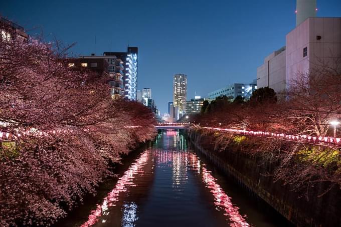 Meguro River