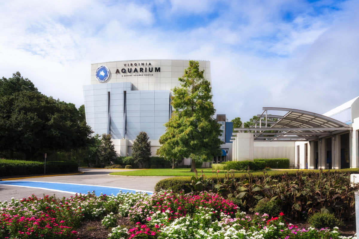 Virginia Aquarium & Marine Science Centre