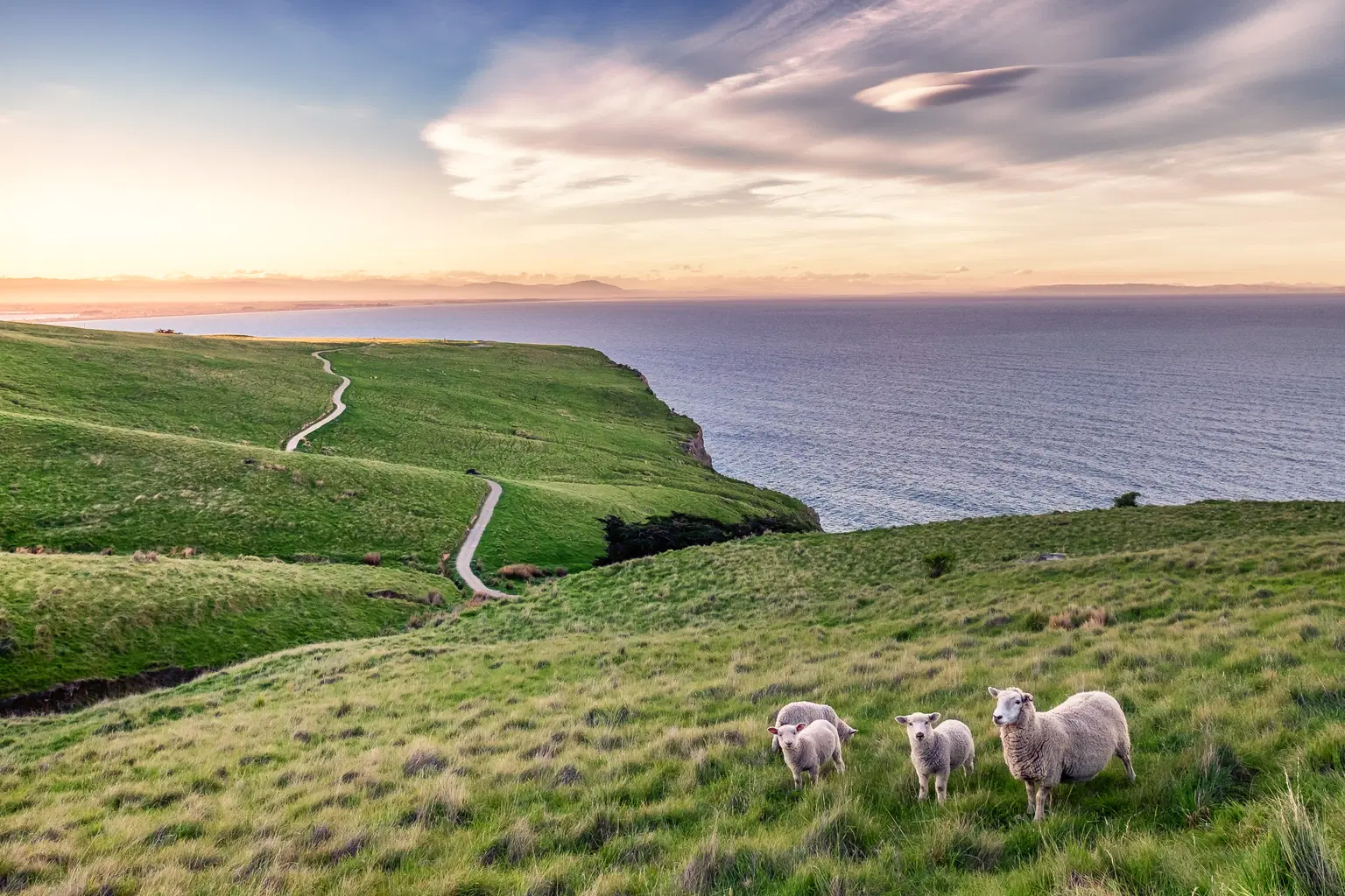 <em>New Zealand</em> Tour Packages From Chennai 