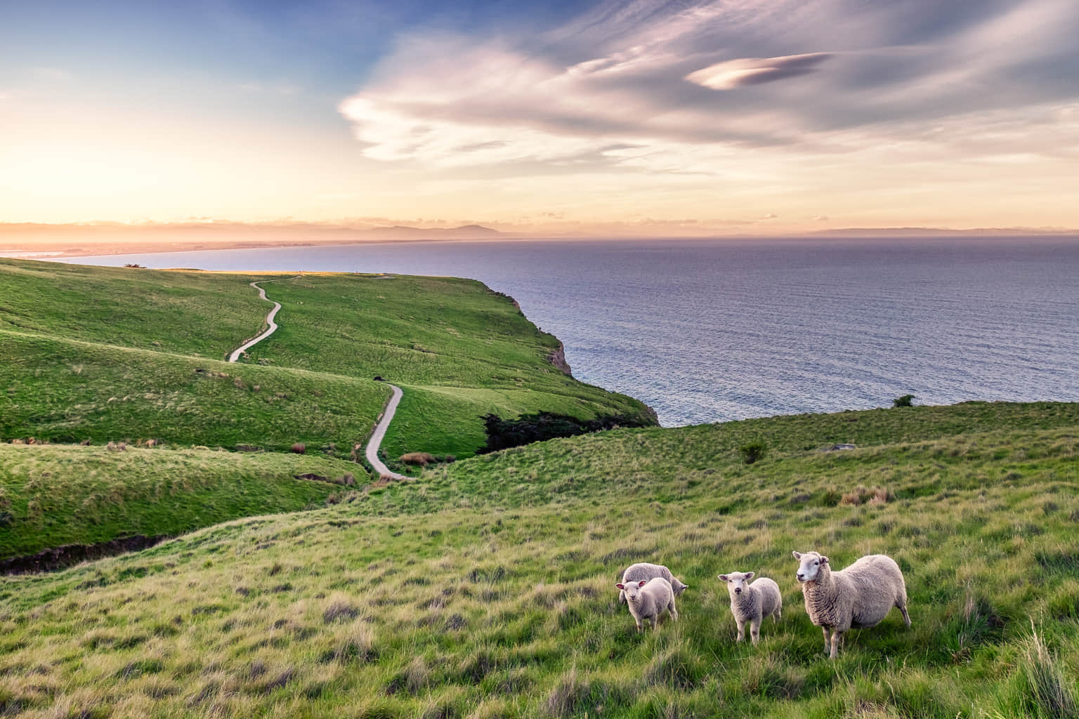 <em>New Zealand</em> Tour Packages From Nashik