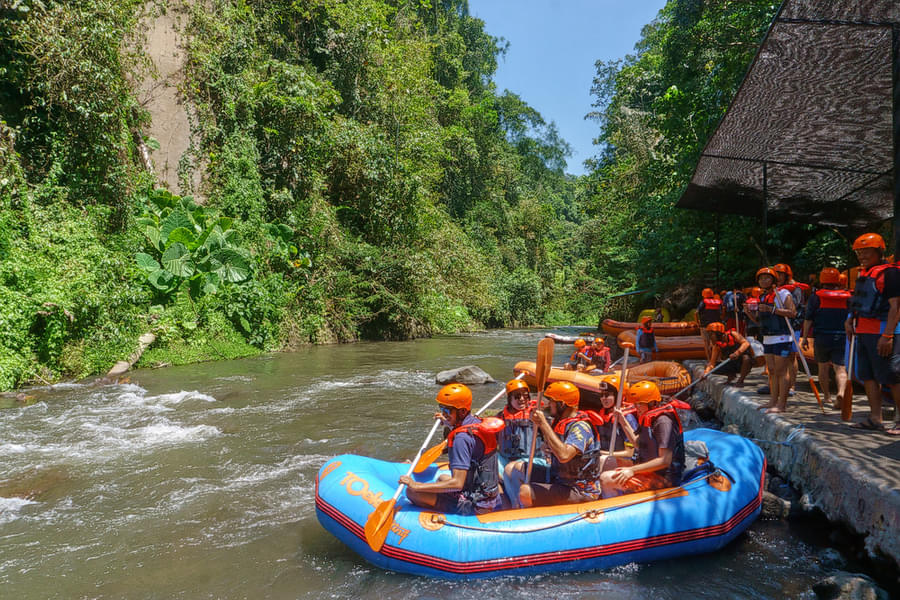 Ayung River Rafting With Elephant Ride Image