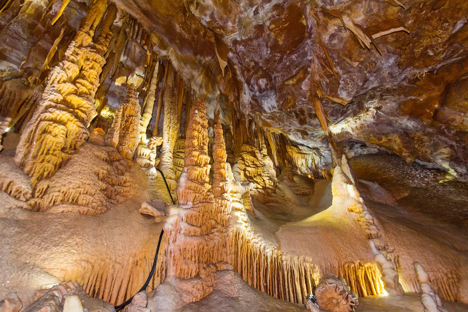 Jenolan Caves and Blue Mountains Tour near Sydney