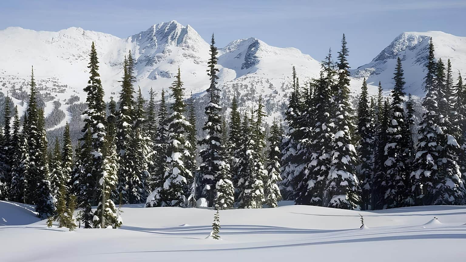 Explore the Gulmarg Biosphere Reserve