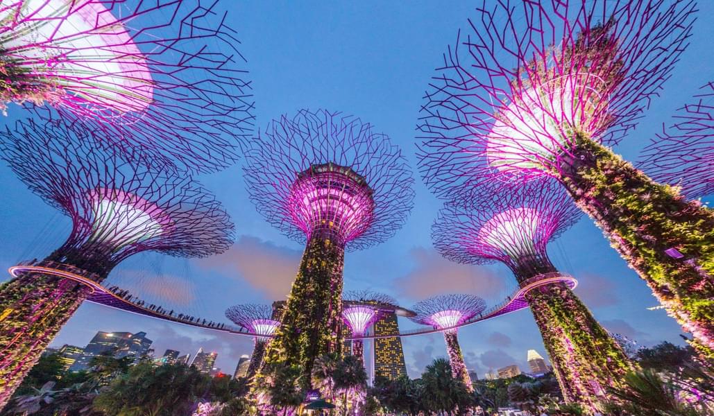 How To Reach at Gardens By the Bay?