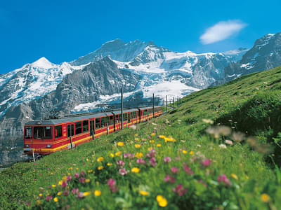 Jungfraujoch Tour from Zurich