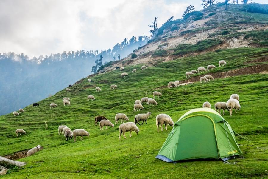 Kareri Lake Trek From Delhi Image