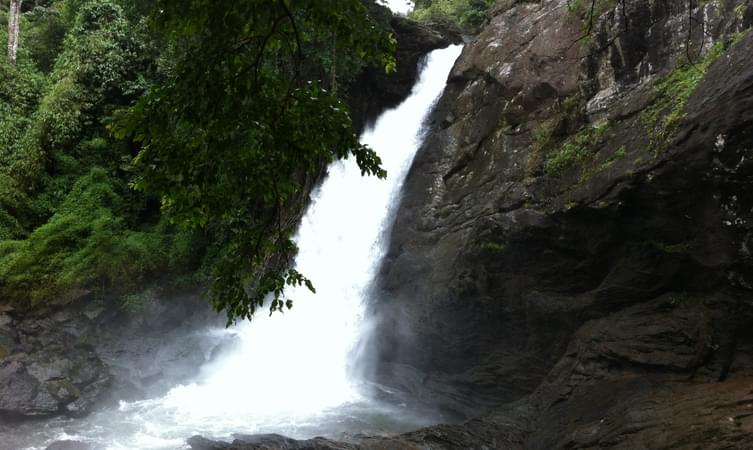 Soochipara Waterfalls 