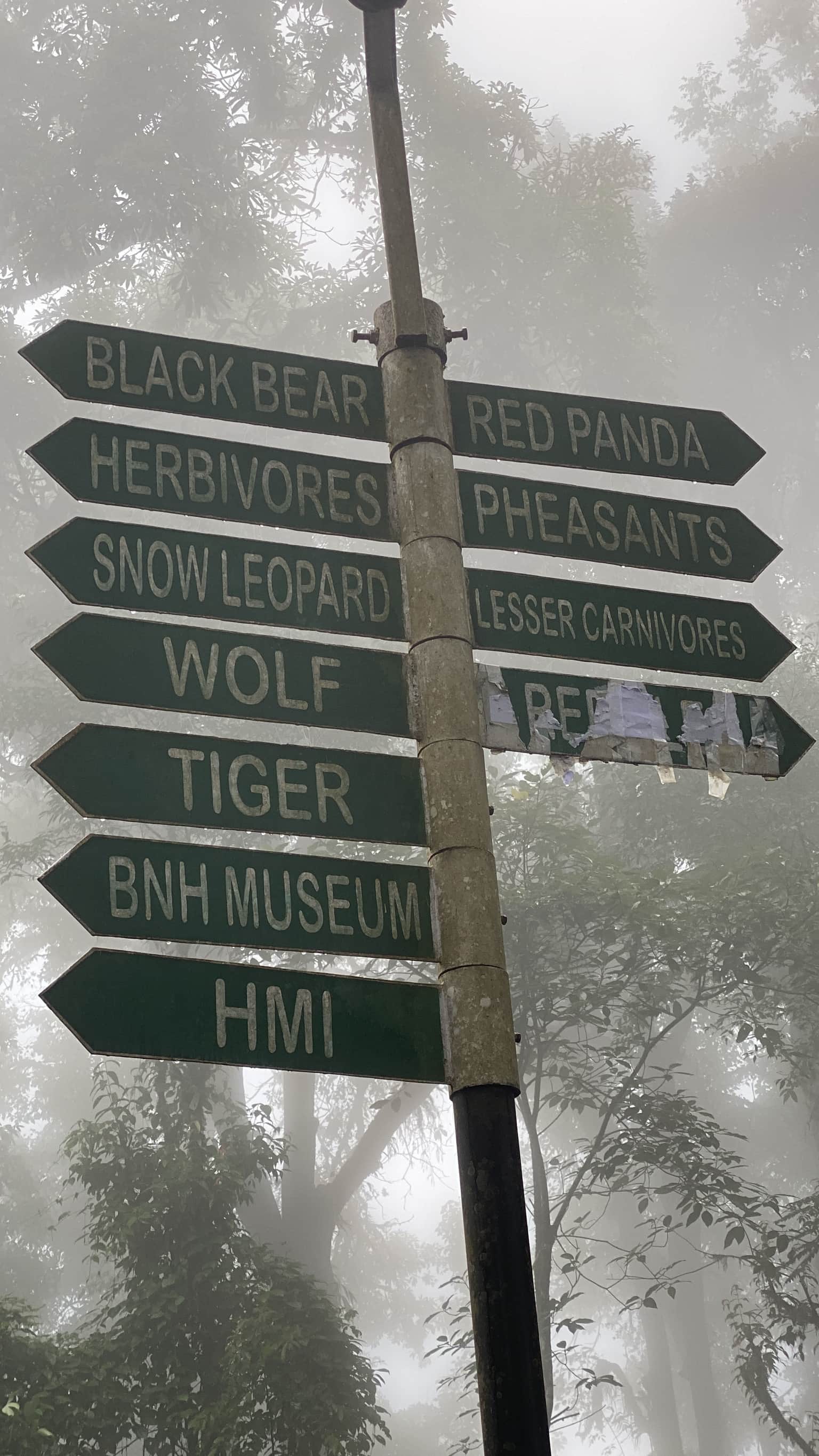 Photo from  Mubashir Kovvapurath's trip