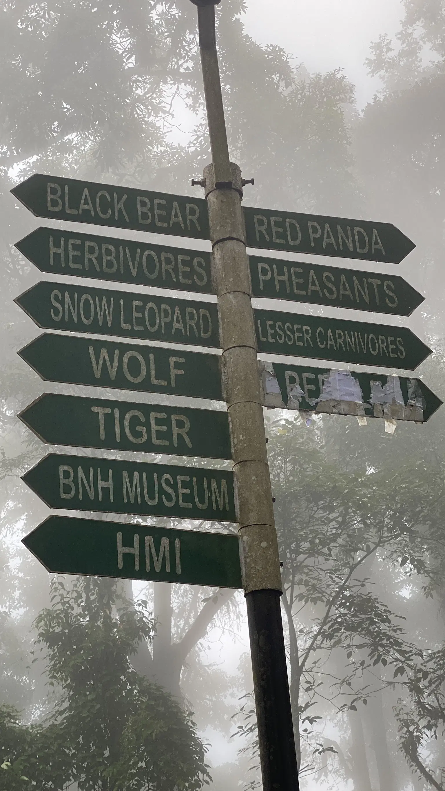 Photo from  Mubashir Kovvapurath's trip