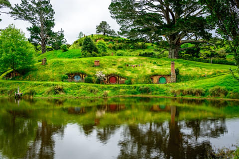 Activity & SightSeeing Image