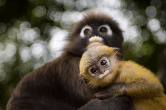 Short Trip to Tripura Image