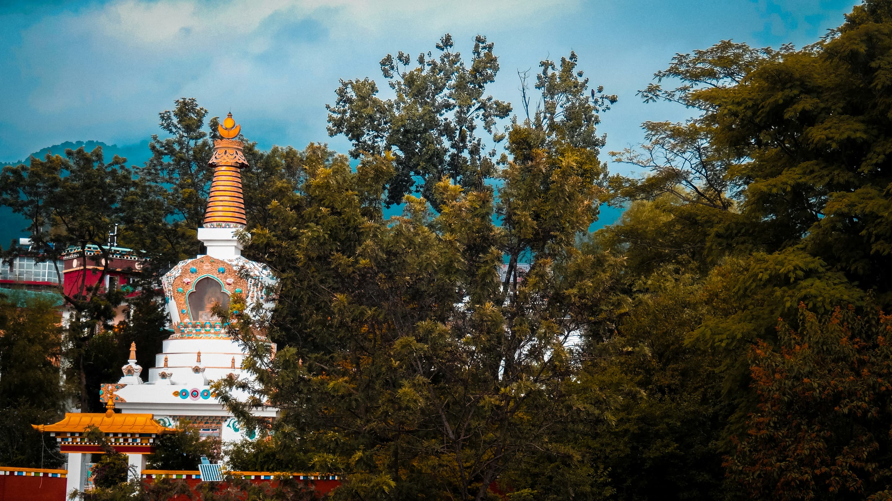 Best Places To Stay in Bir