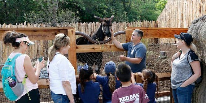 Daily Keeper Chats at Dallas Zoo