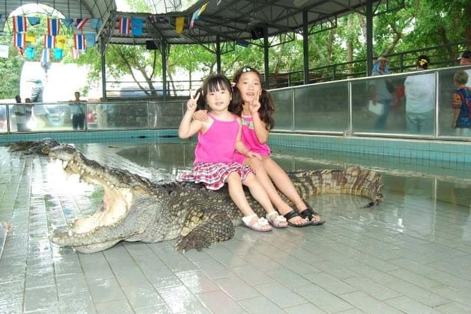 Million Years Stone Park and Crocodile Farm