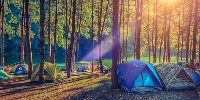 Kasauli camping