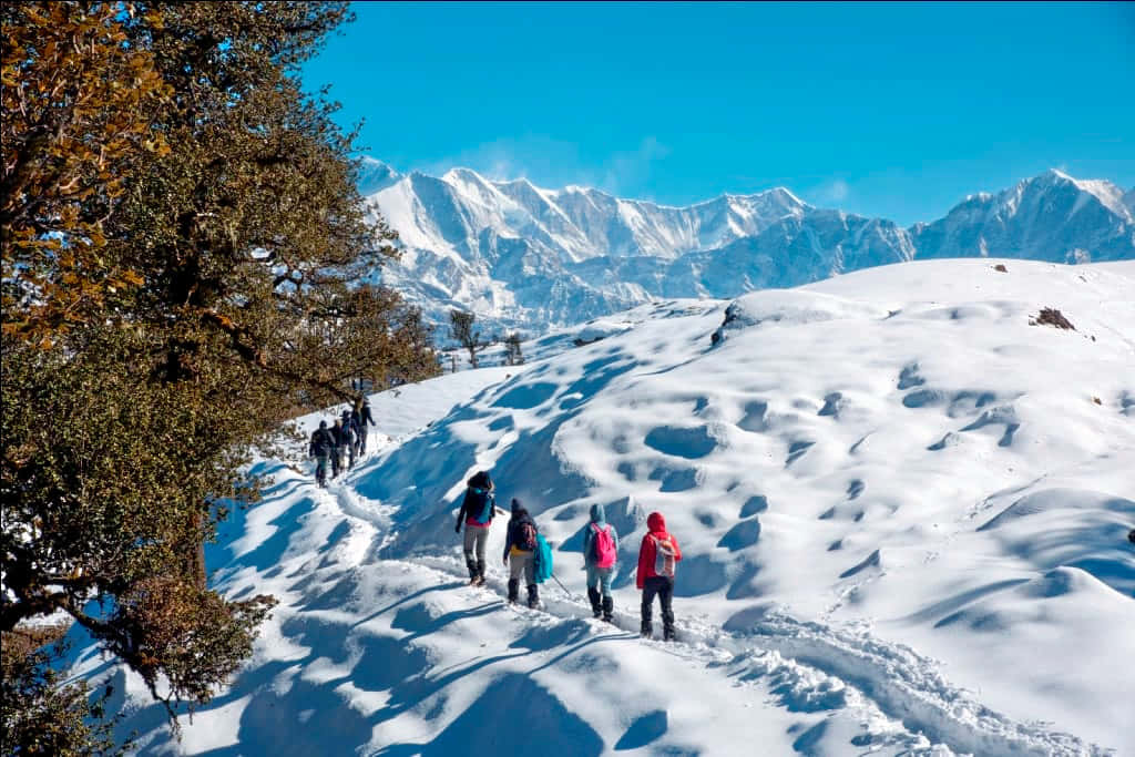 Brahmatal Trek, Uttarakhand