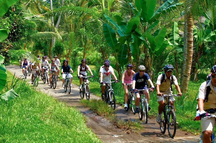 Mountain Cycling in Abun Village and Kintamani in Bali Image