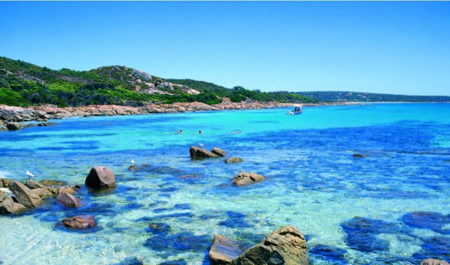 Margaret River Wine Day Tour In Perth Image