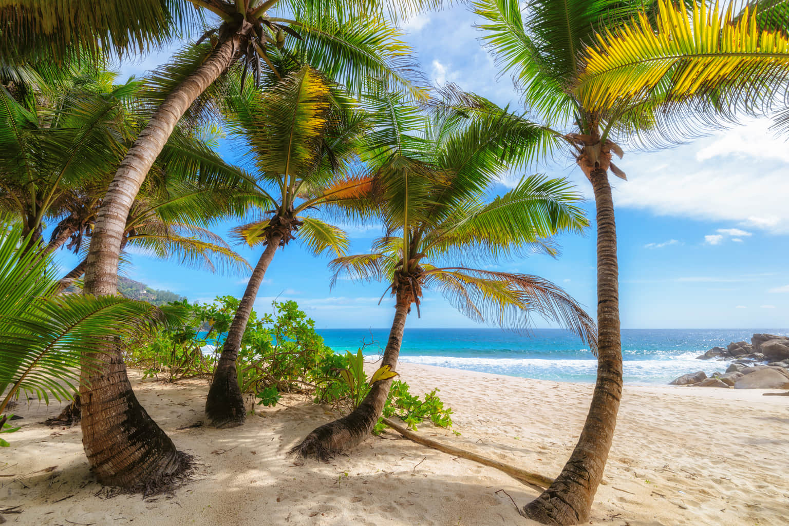 <em>Seychelles</em> Tour Packages From Pune 