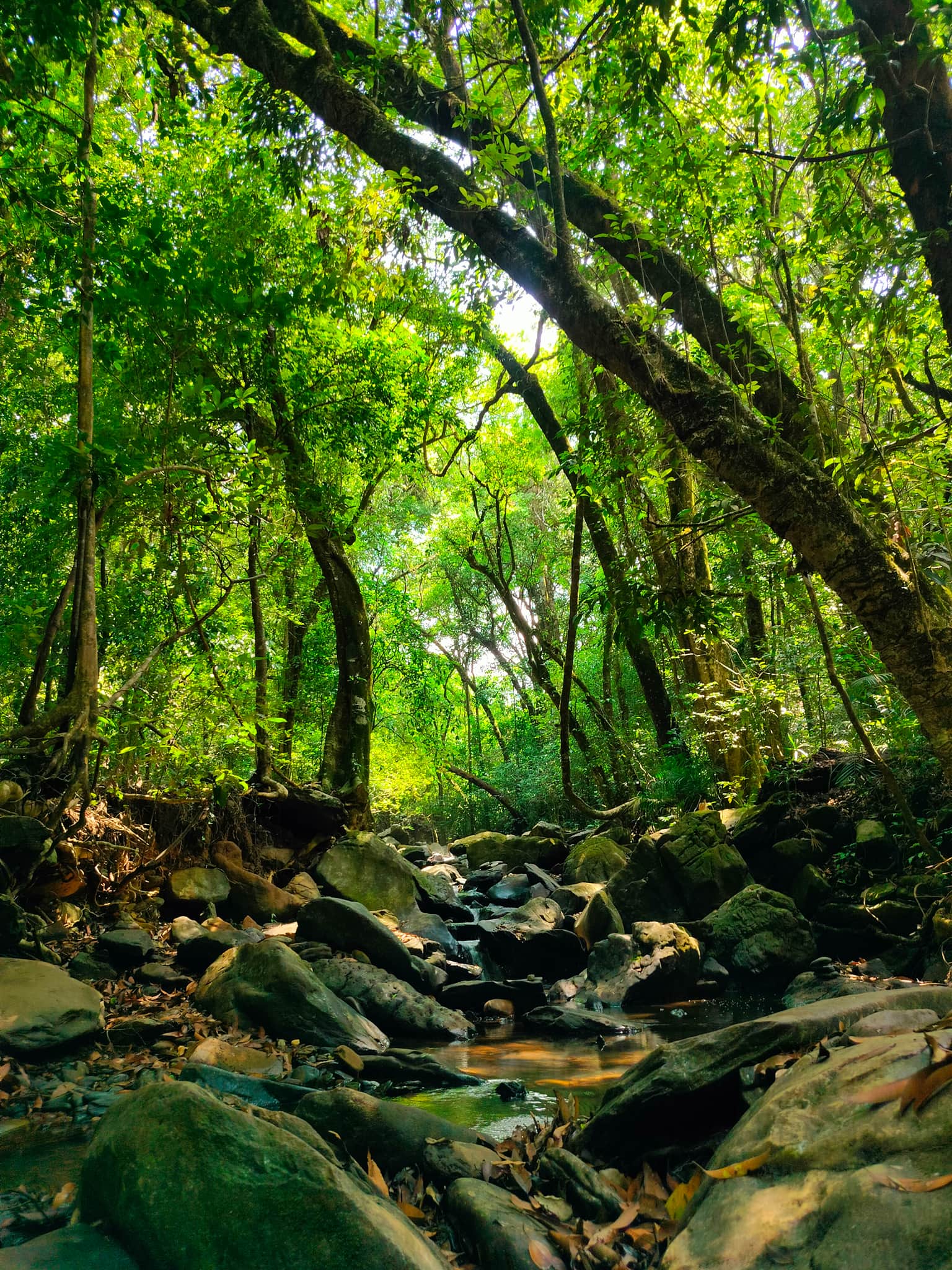 Photo from J S Manvith's trip