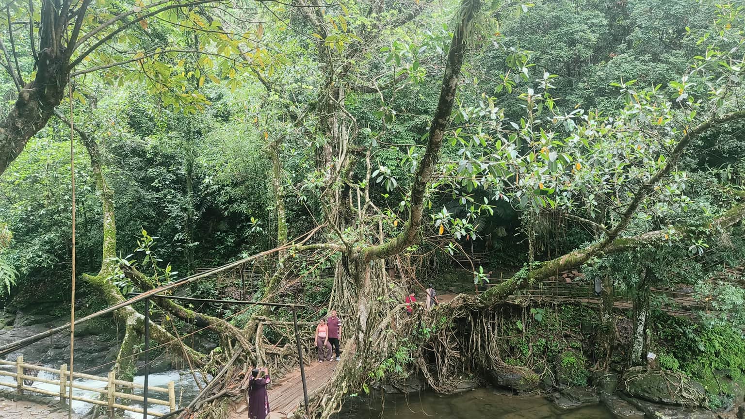 Photo from Priyadarshni Priyadarshni's trip