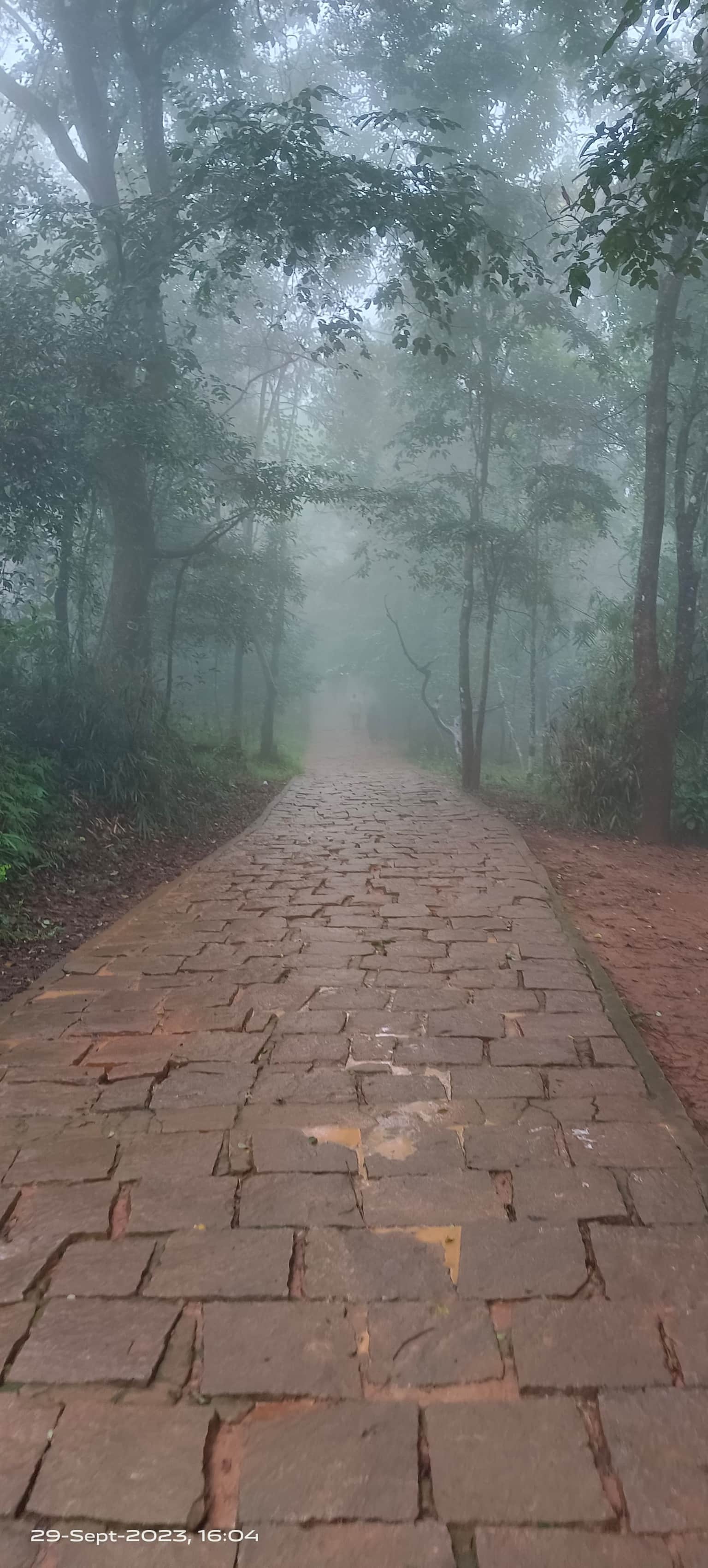 Photo from Juhee 's trip